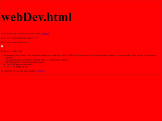 webDev screenshot