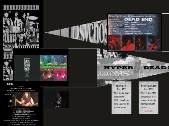 SCANS/DEAD END SCANS/DVD screenshot