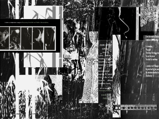 SCANS/DIRU SCANS/DSSPERO screenshot