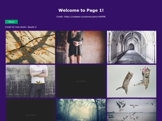 page1 screenshot