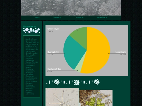 november_26 screenshot