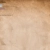 fuzzyopossum.neocities.org avatar