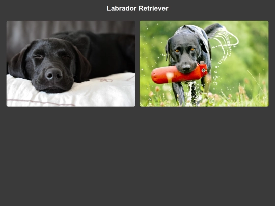 lab screenshot