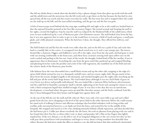fiction/monterey screenshot