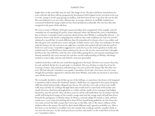 fiction/seabirdsdoor screenshot