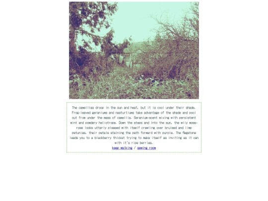 outside2 screenshot