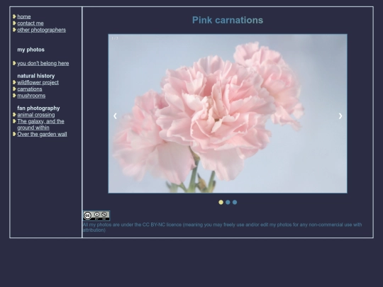 galleries/carnations/carnations screenshot