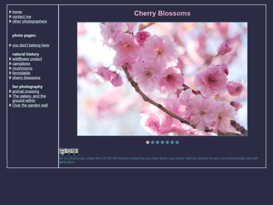 galleries/cherry-blossoms/page screenshot