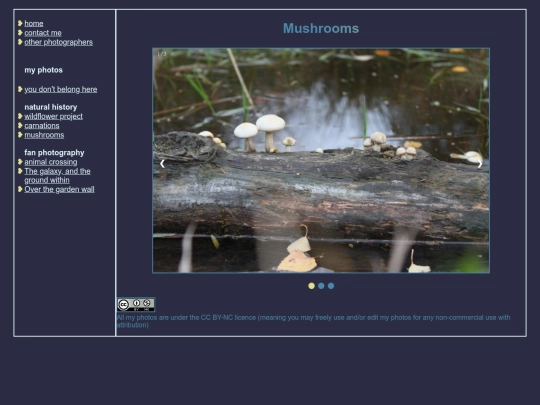 galleries/mushrooms/mushs screenshot