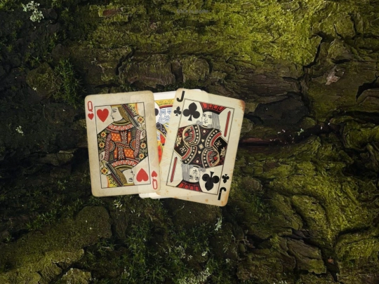 second screenshot