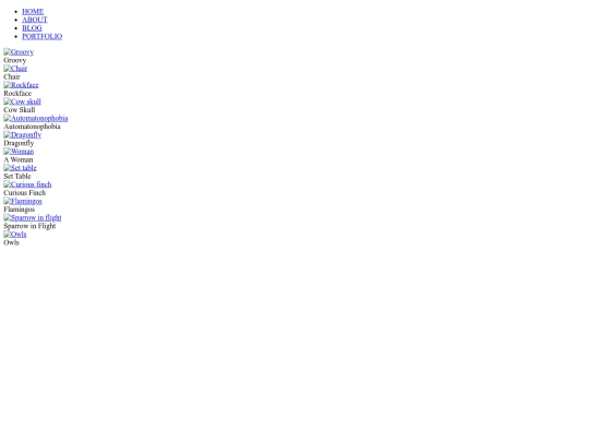 TOMS_portfolio screenshot