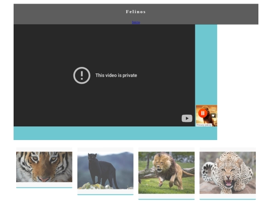 Practica 5 Encabezados/Felinos screenshot