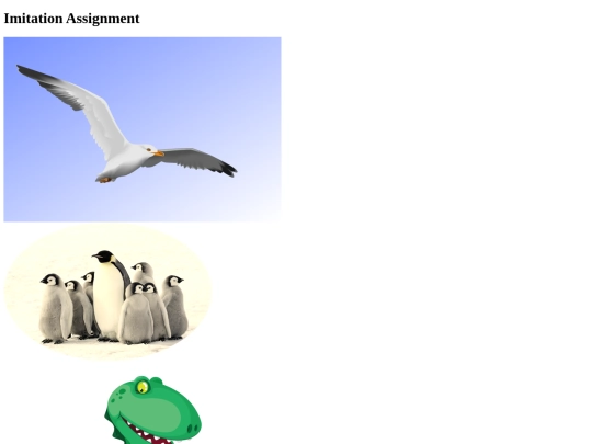 imitationassignment screenshot