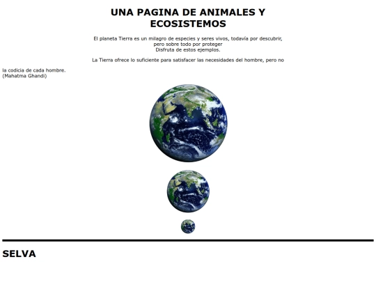 prueba5a.html/prueba5 screenshot