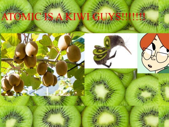kiwi screenshot