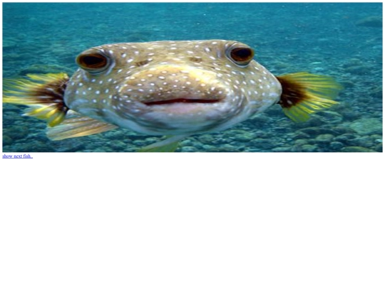 fish1 screenshot