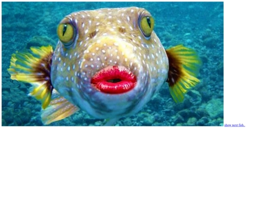 fish4 screenshot