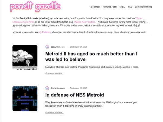 blog screenshot