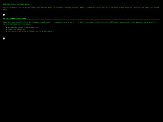 home screenshot