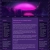 uncannychelle.neocities.org avatar