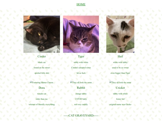 pets/cats screenshot