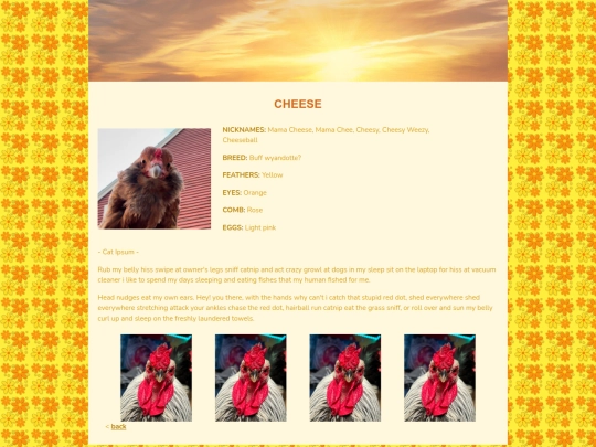 pets/coop/cheese screenshot