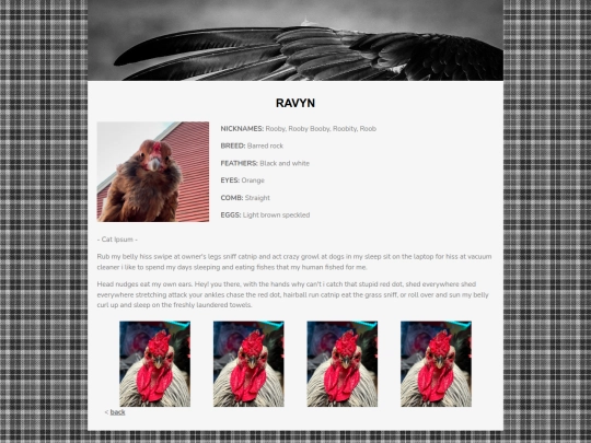 pets/coop/ravyn screenshot