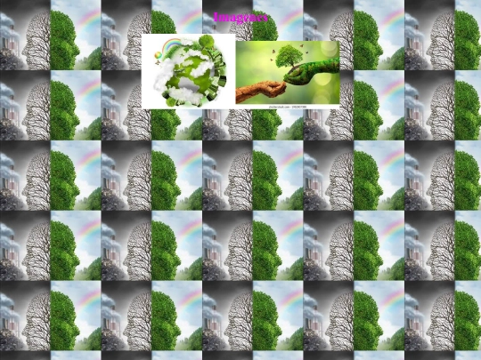 Paginas/Galeria1 screenshot