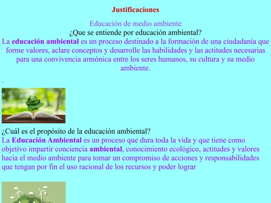 Paginas/justificacion screenshot