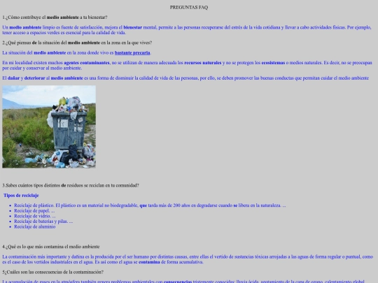 Paginas/preguntas faq screenshot