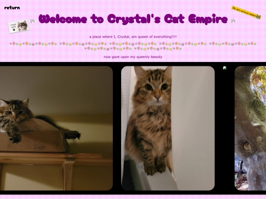 secretpage/secretpage screenshot