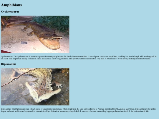 amphibian/amphibians screenshot