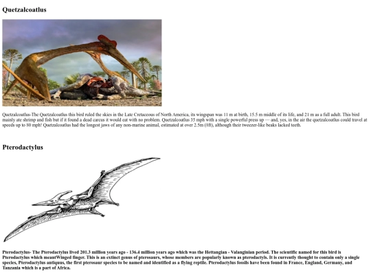 petrosarous/terror.of.the.sky screenshot