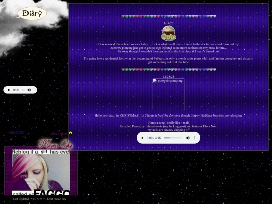 diary screenshot