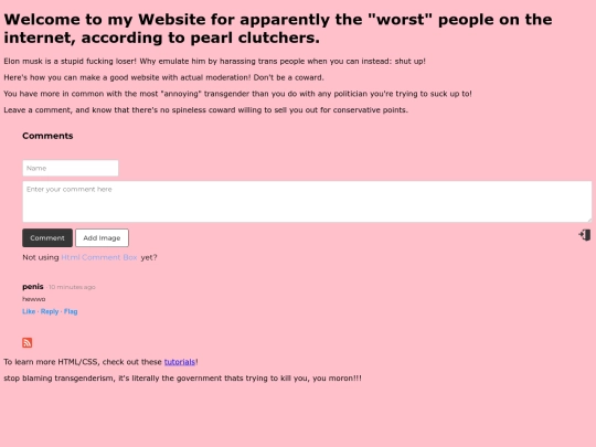 transfemmeawesome screenshot