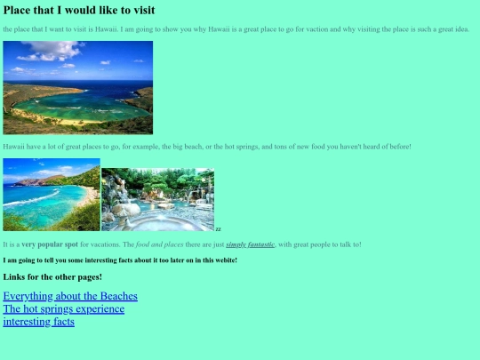 vacation website screenshot