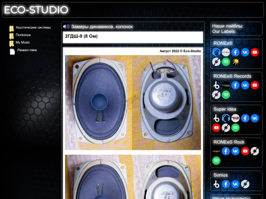 2gdsh9_8_Ohm screenshot