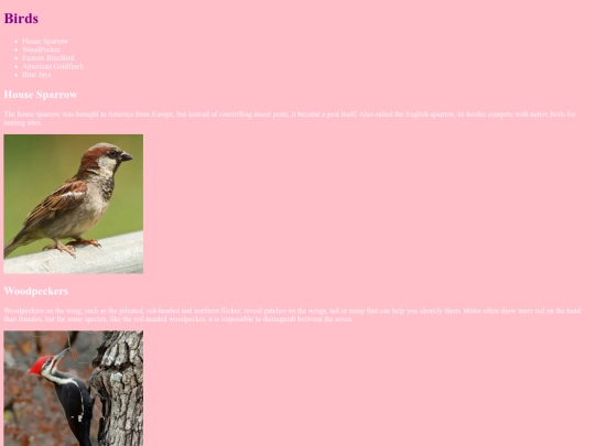 birds screenshot