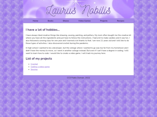 projects screenshot