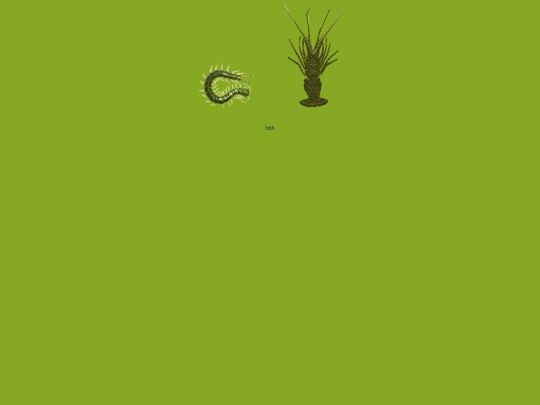 world screenshot