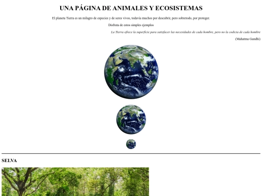 ejercicio05/ejercicio05 screenshot
