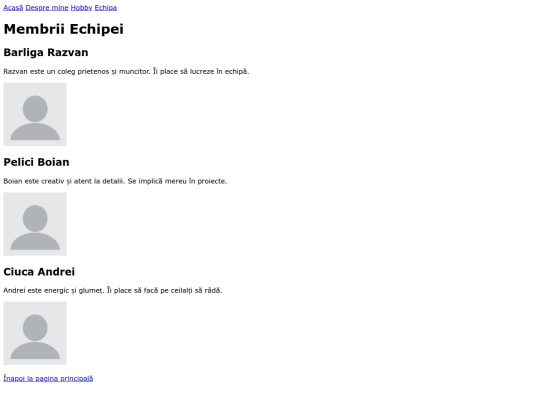 echipa screenshot
