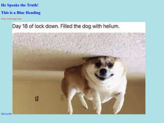 css screenshot
