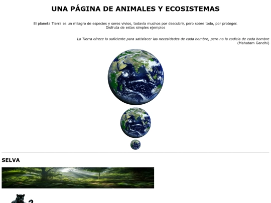 ejercicio05 screenshot