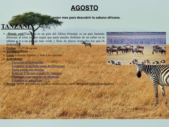 ProyectoFinal/p2 screenshot