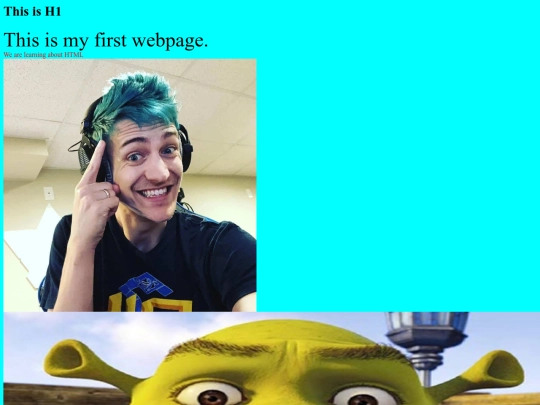 Main (first website) screenshot