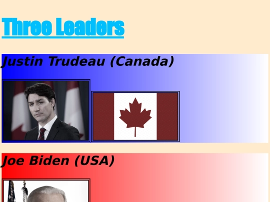 index flag screenshot