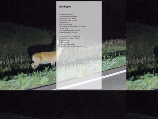 writings/poetry/headlights screenshot