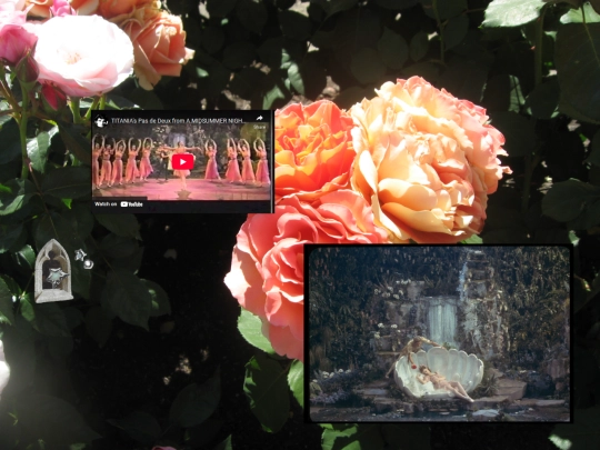 garden screenshot