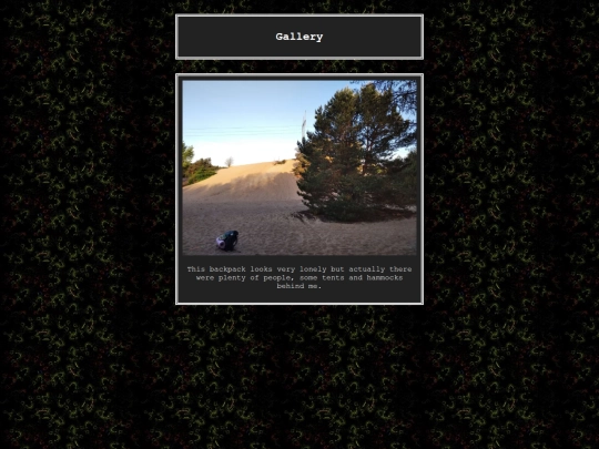 gallery screenshot